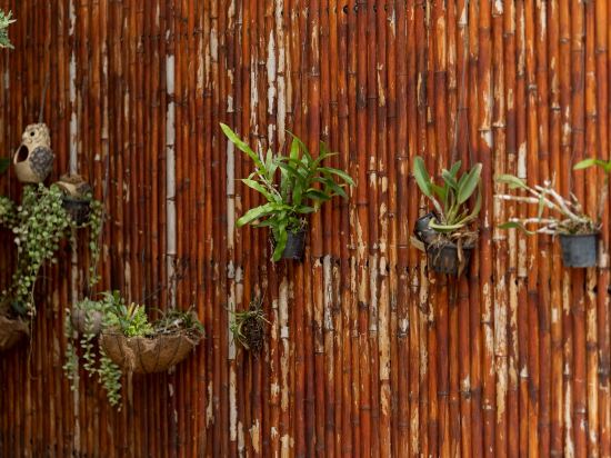 Фото Khon Kaen Orchid Hotel