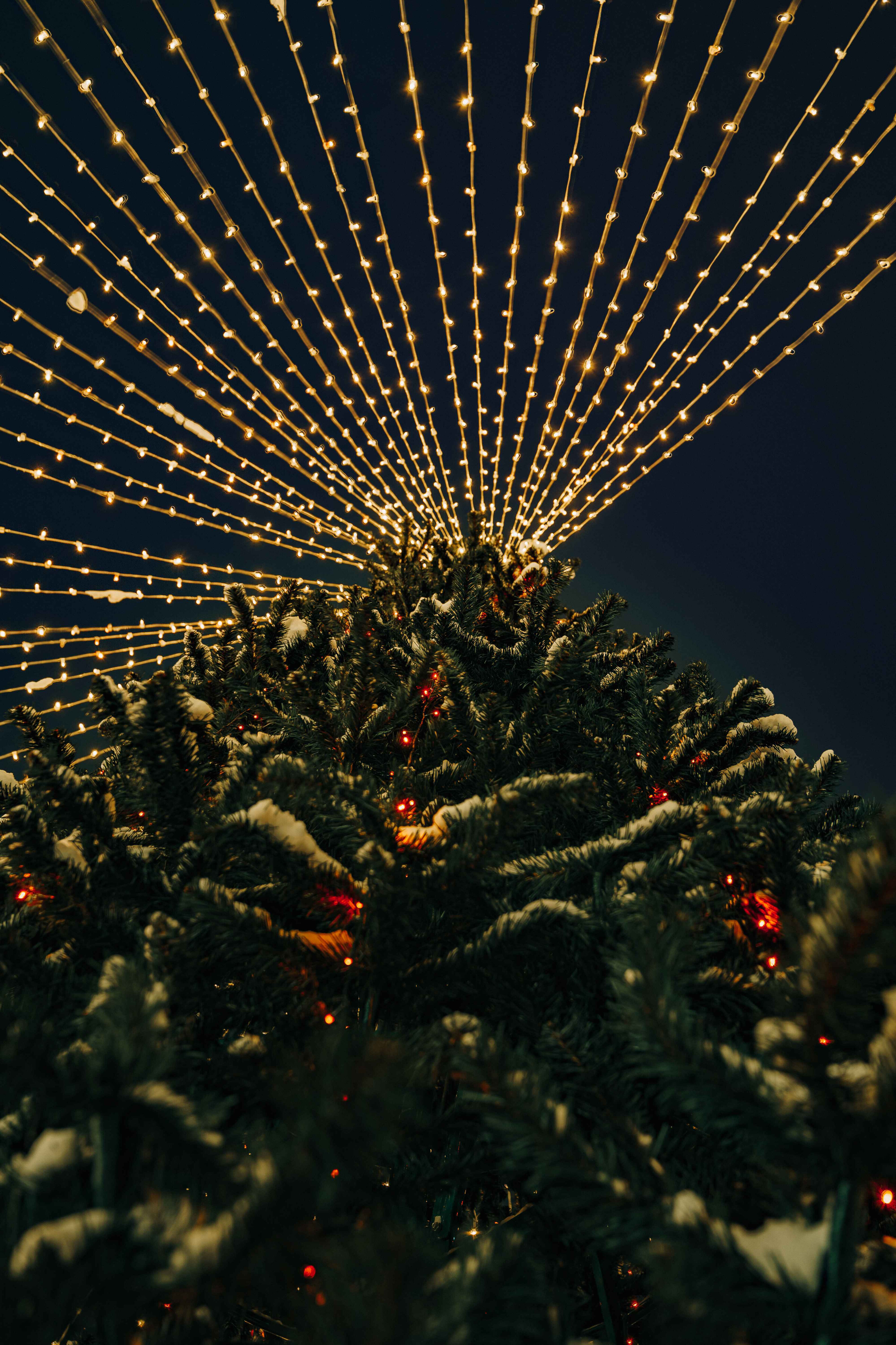 Фото Русские Сезоны СПА Отель Пересвет