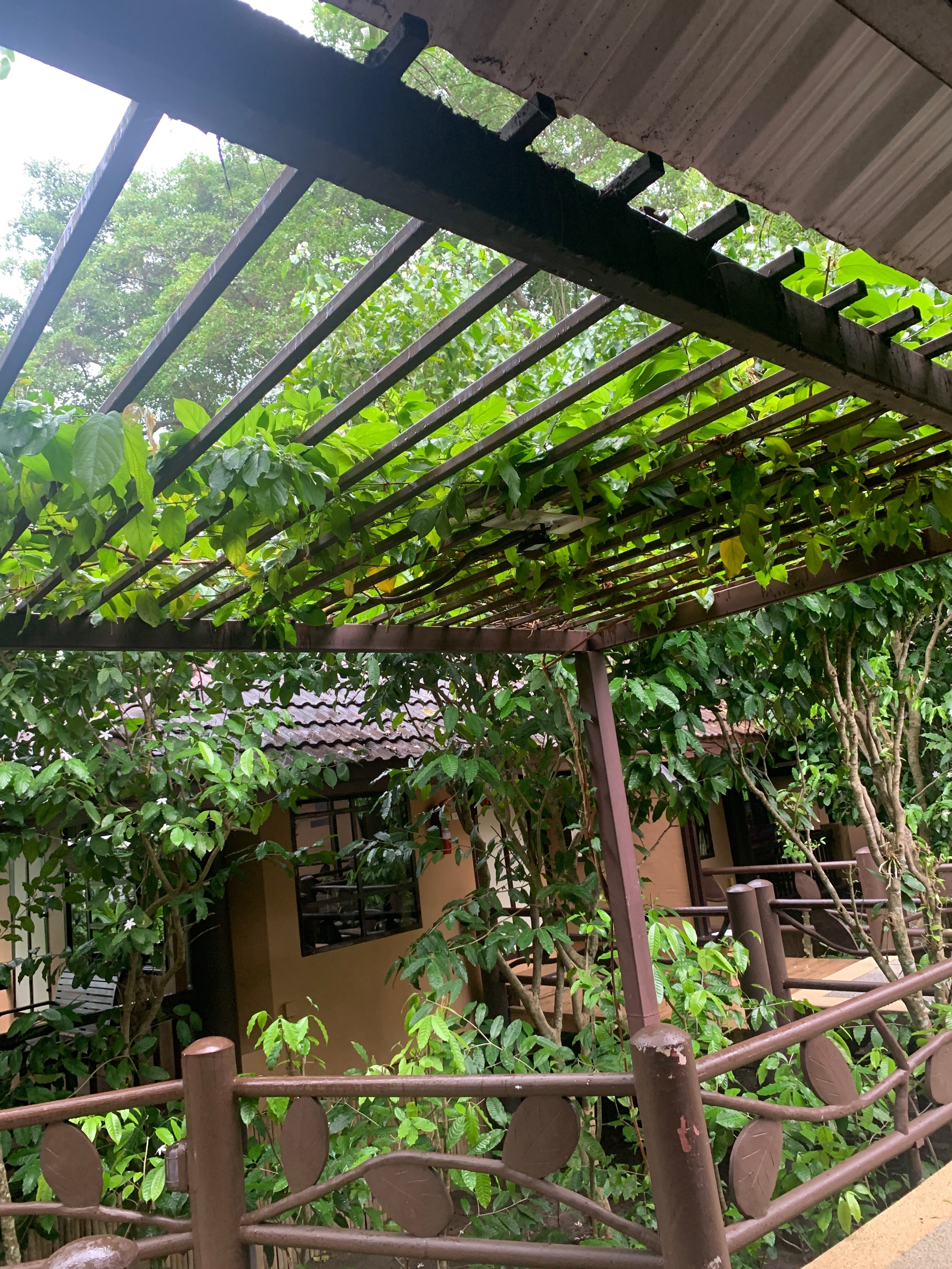 Фото Princess Kamala Beachfront Hotel