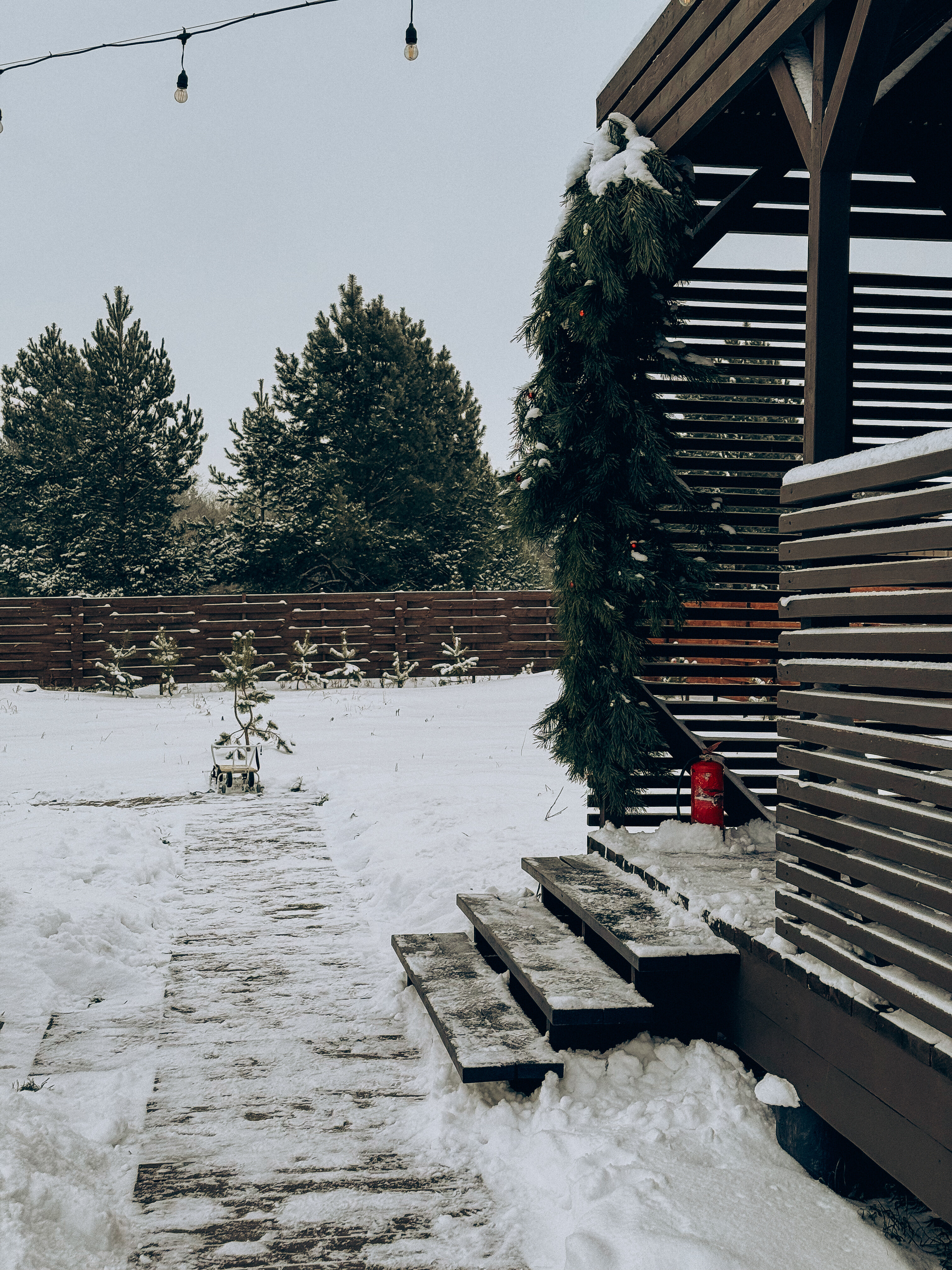 Фото Дубовая роща