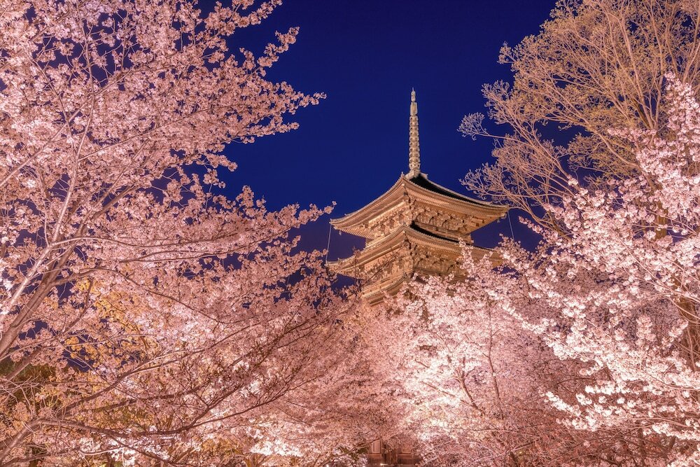 Фото Omo3 Kyoto Toji by Hoshino Resorts