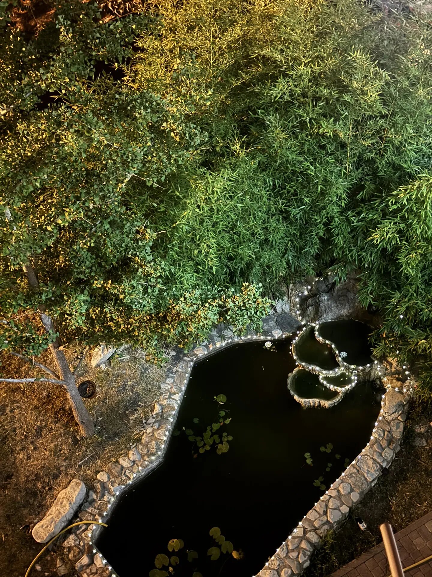 Фото Приморский