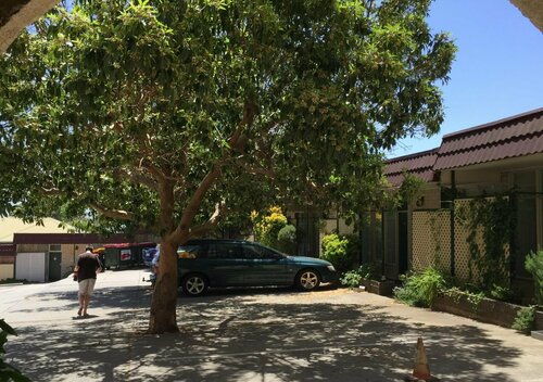 Гостиница Tollgate Motel в Южной Австралии