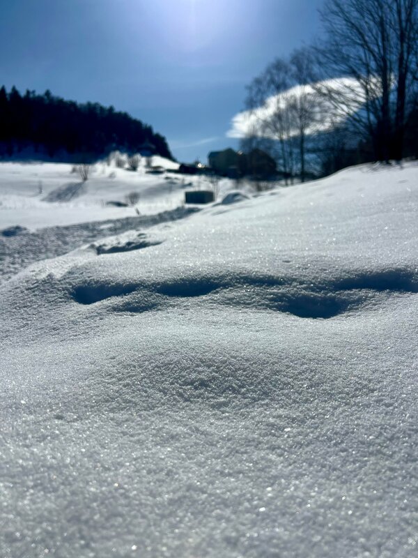 Мария Кочеткова