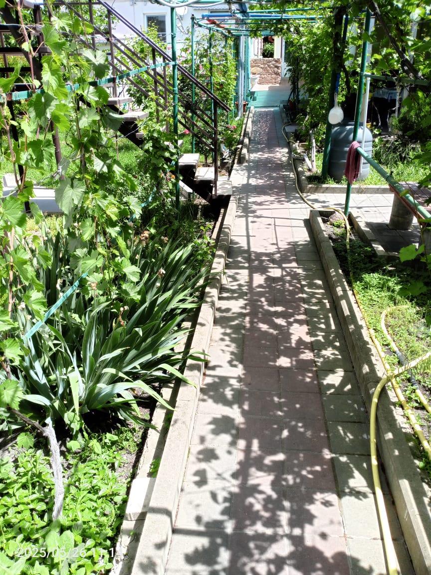 Фото Виноградная аллея