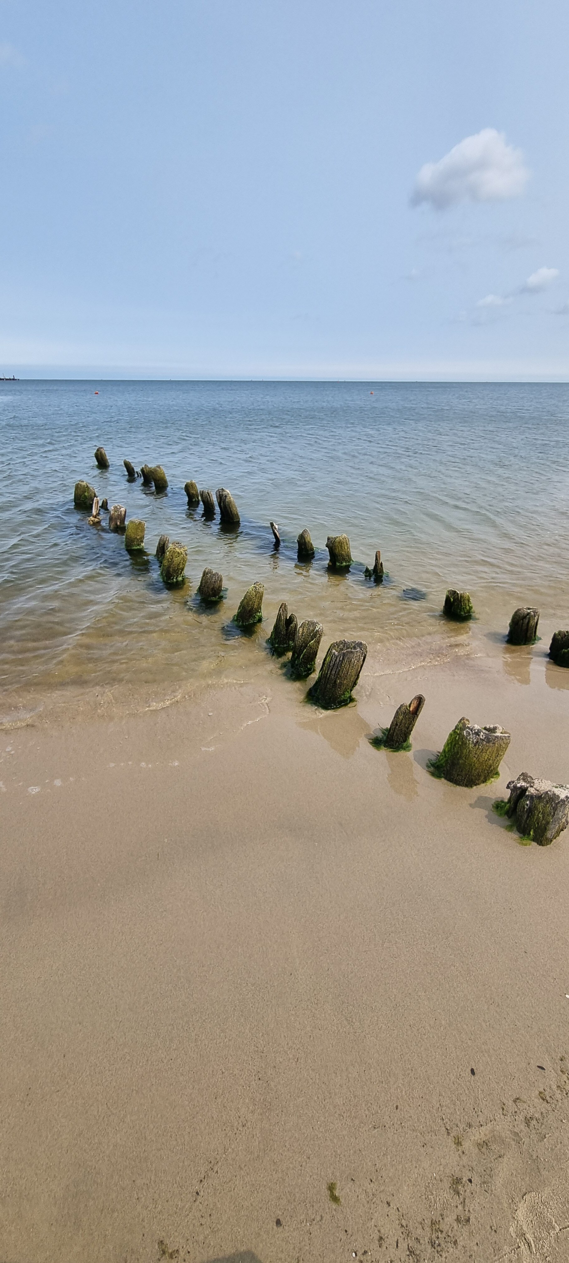 Фото БалтикАпарт Набережная Прованс