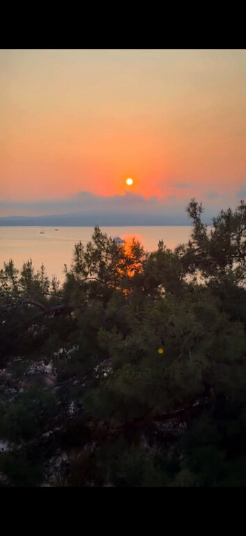 Фото Янтарь