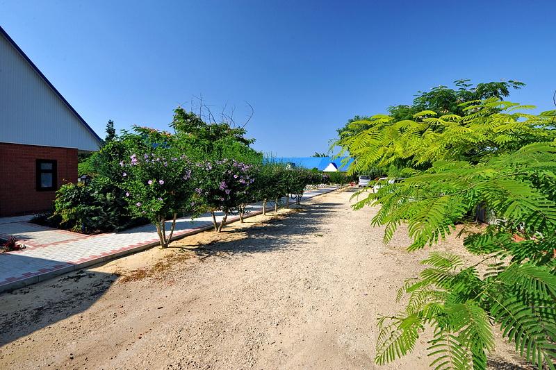 Фото Чудная Долина