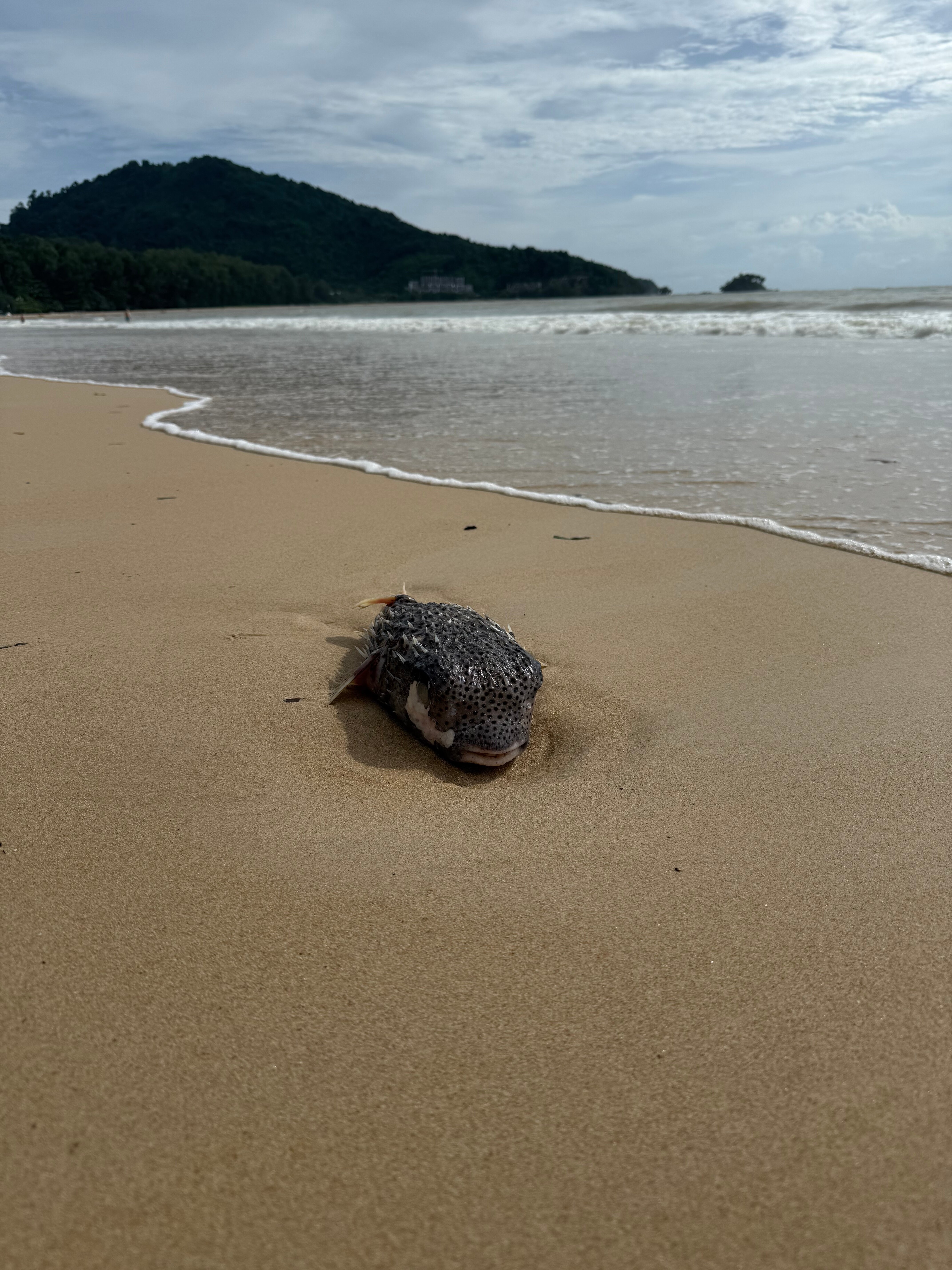 Фото Naiyang Park Resort