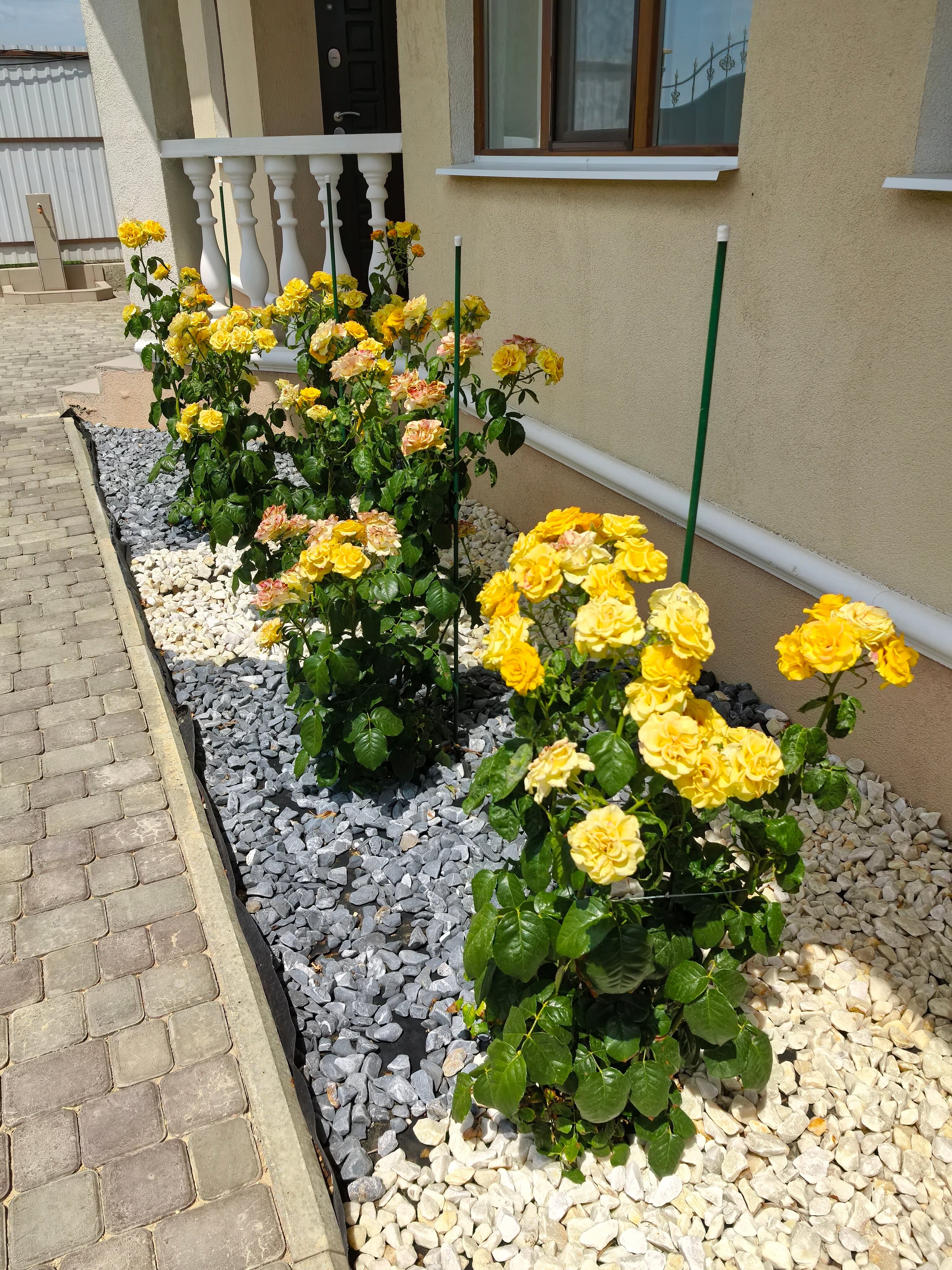 Фото Эмили Вилладж Витино