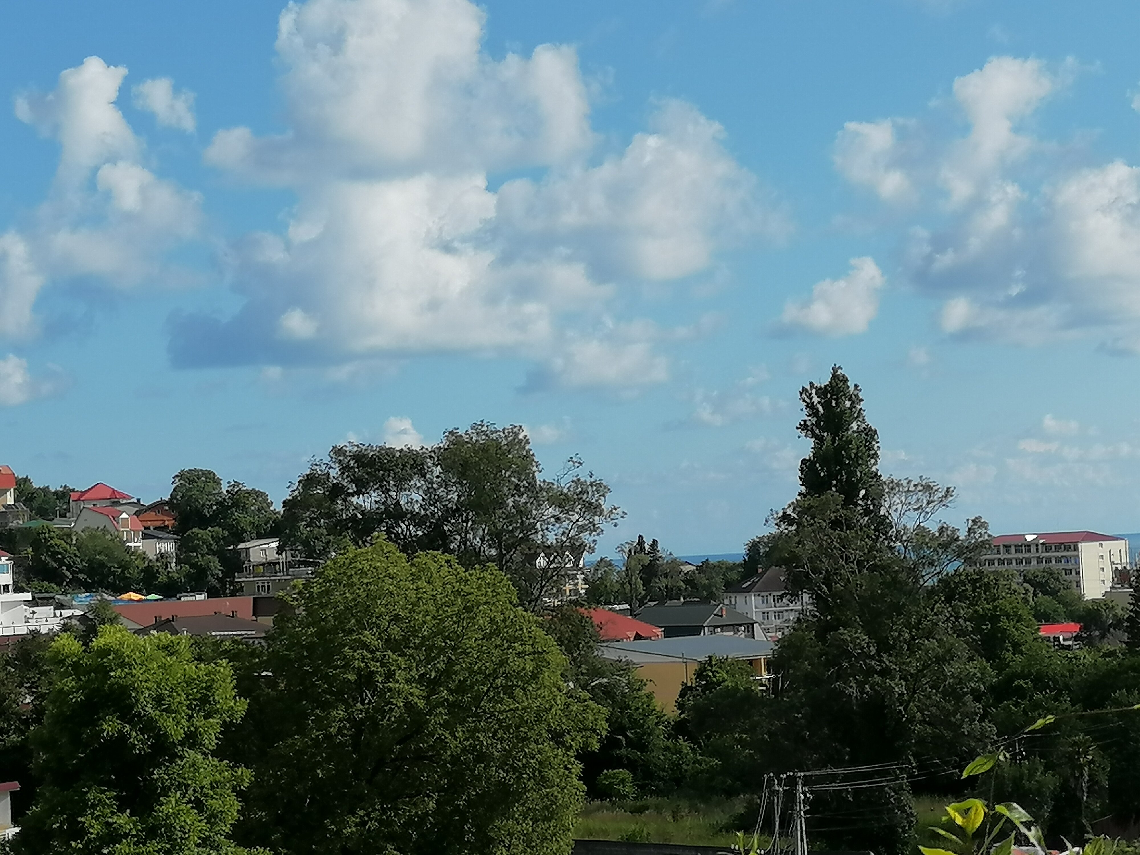 Фото Волгарь