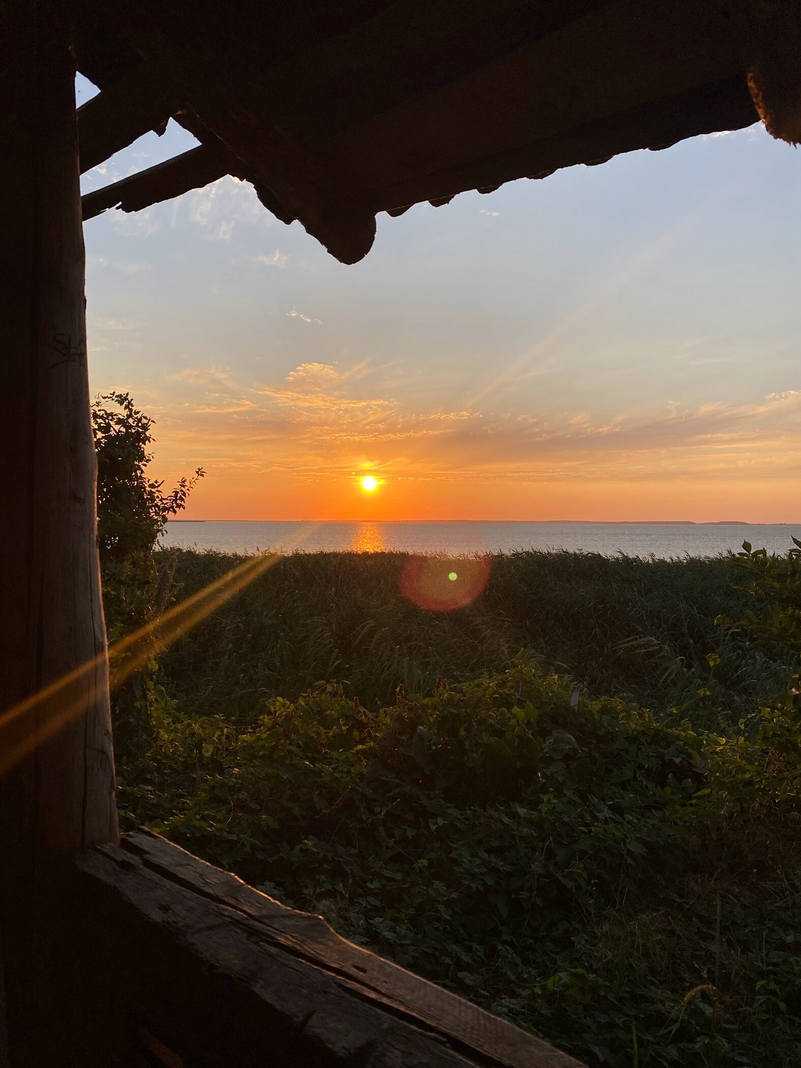 Фото Гала Визит