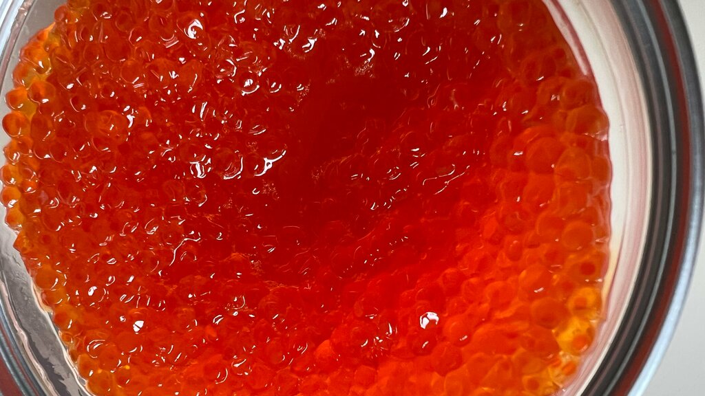 Fish and seafood Ikorniy, Sochi, photo