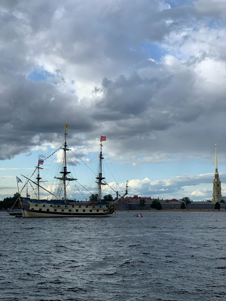 Landmark, attraction Эрмитажный мост, Saint Petersburg, photo