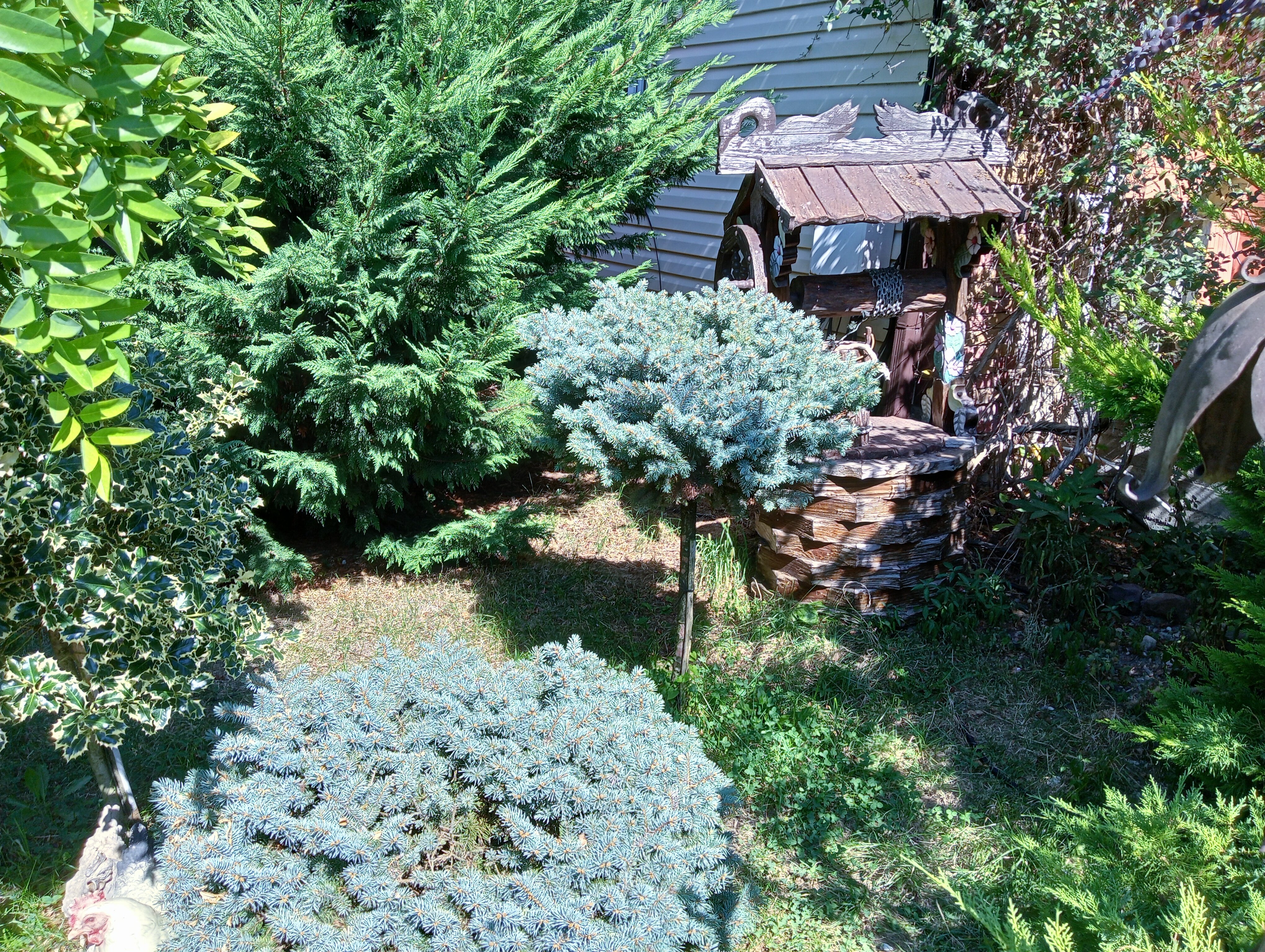 Фото Димерчи