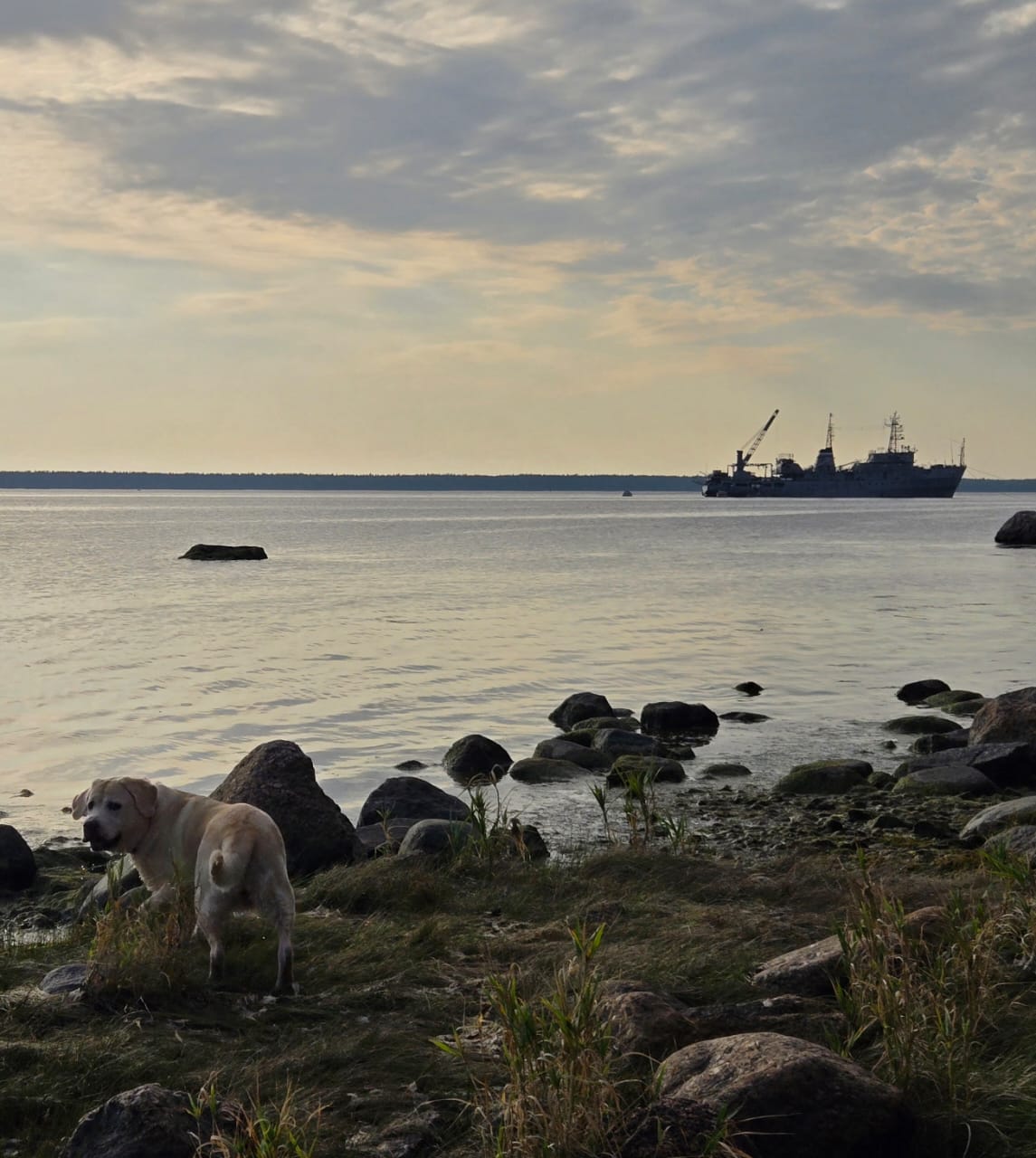 Фото Дом на Береговой