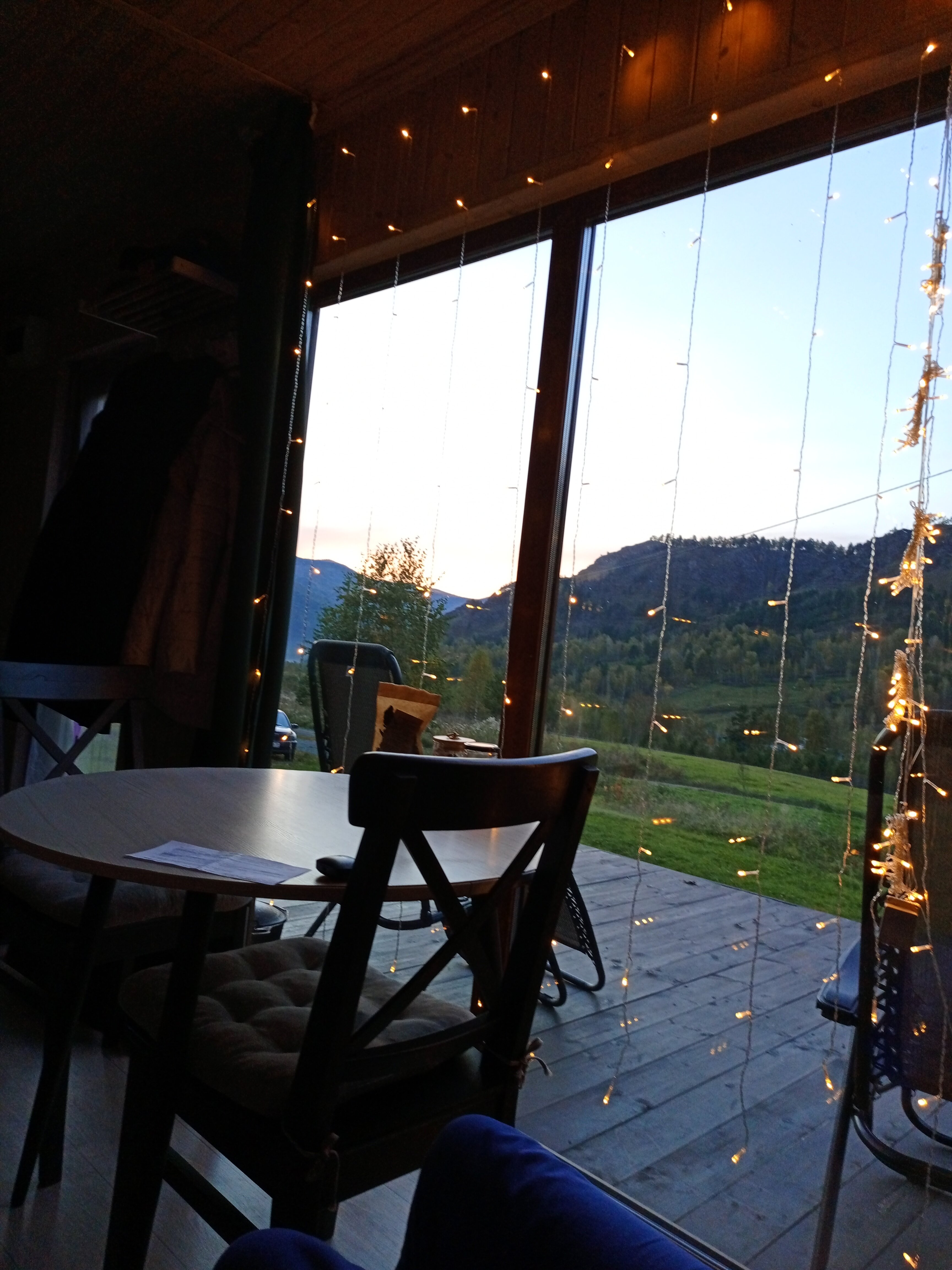 Фото Чайное гнёздышко