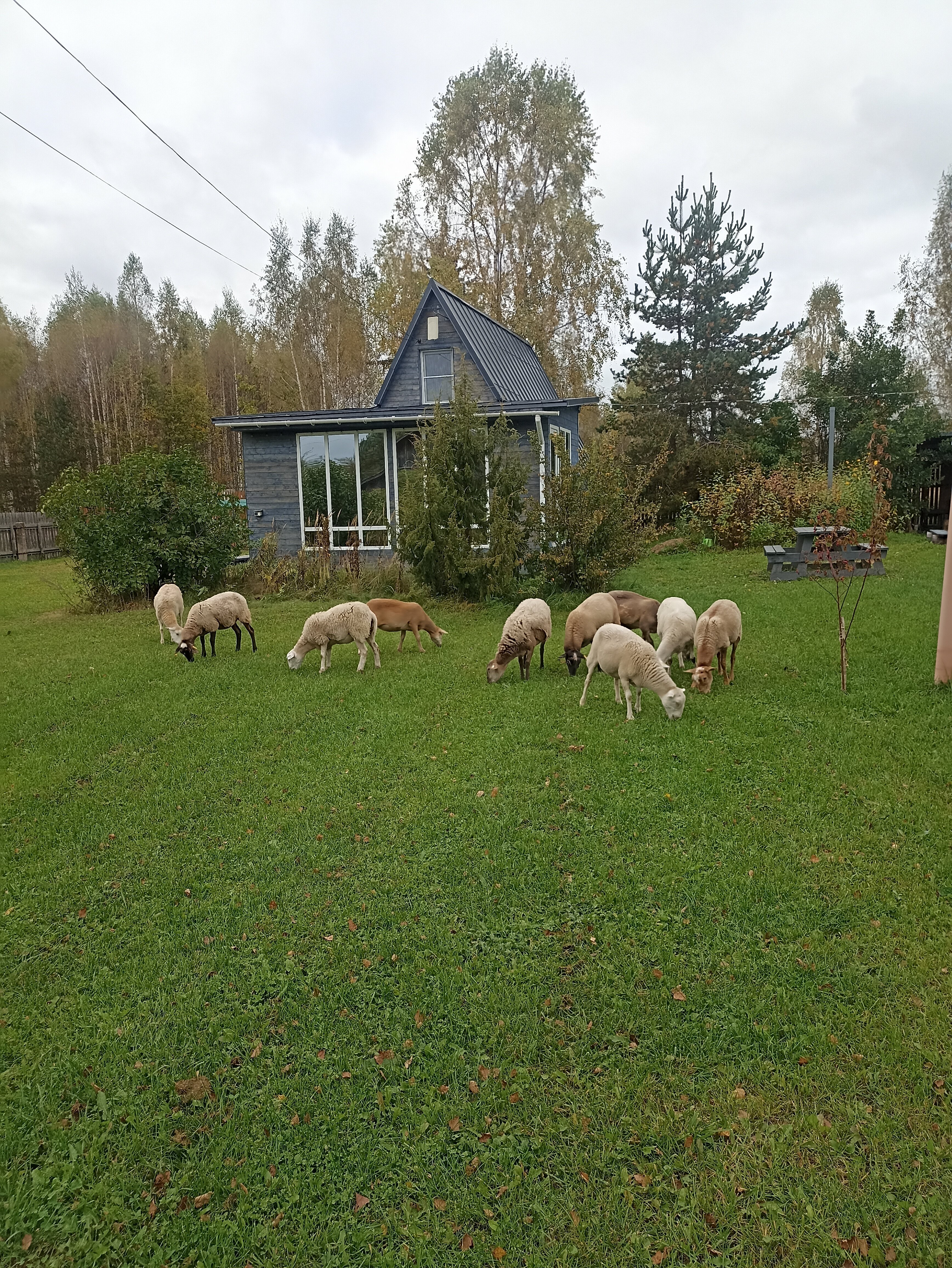 Фото Экопарк Акулово