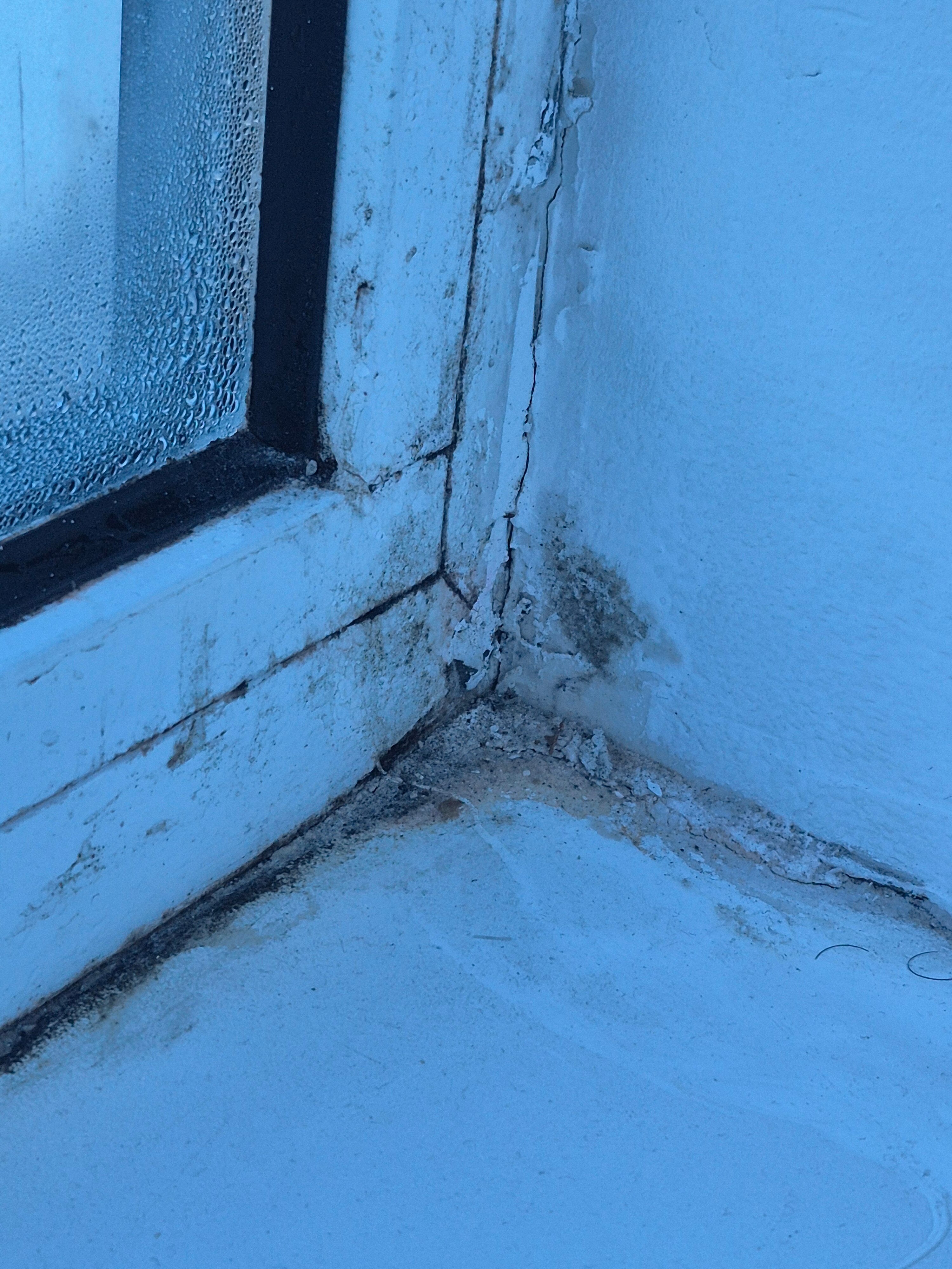 Фото Невский