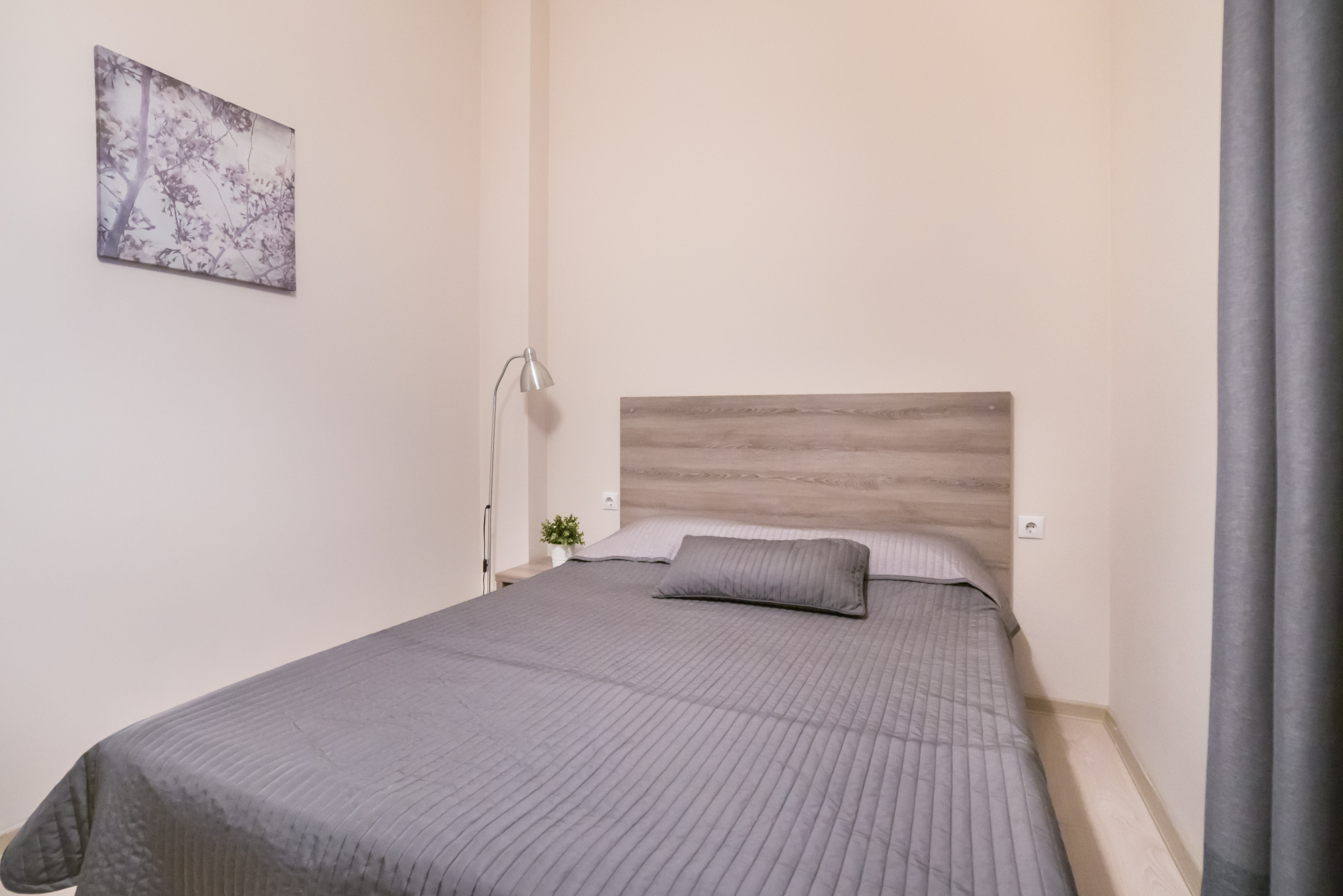 Фото Абрикос Плюс