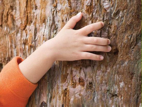 Фото Pullman Madrid Airport & Feria