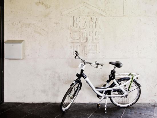 Фото Urban Lodge Hotel