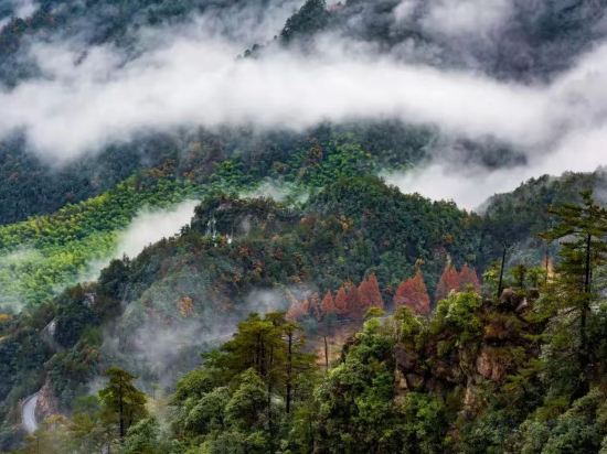 Фото Vienna Classic Hotel Hangzhou Linan