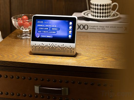 Фото Borrman Hotel