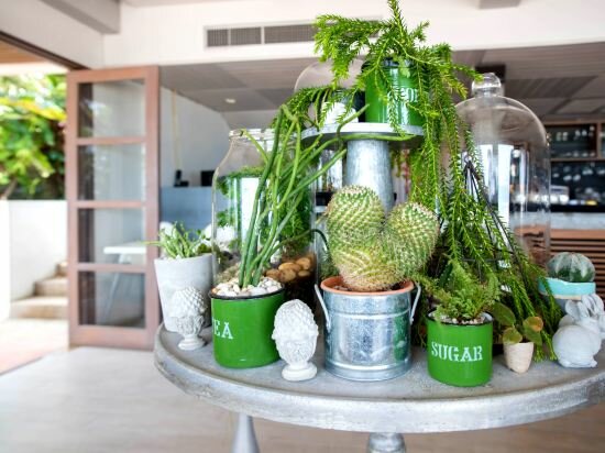 Фото Veranda Lodge