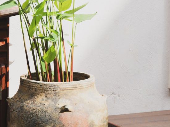 Фото Phra Singh Village