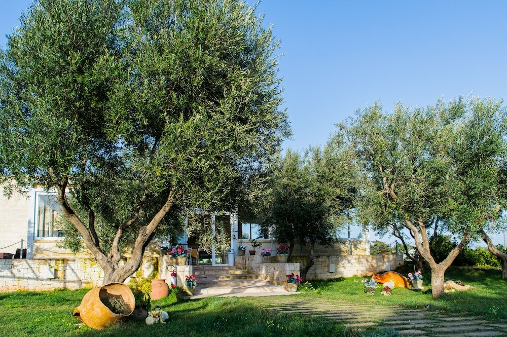 Фото Hotel Reverse