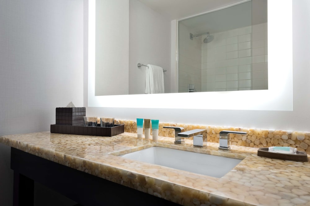 Фото Hyatt Regency Schaumburg Chicago