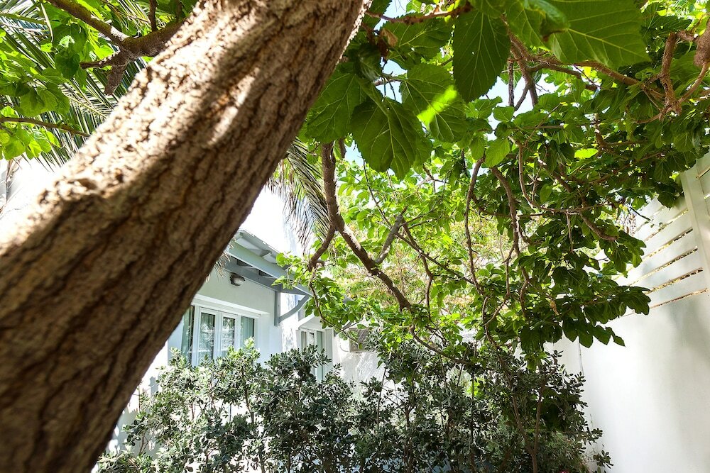 Фото Memories Beach Hotel