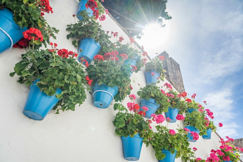 Фото Óbal Urban Hotel