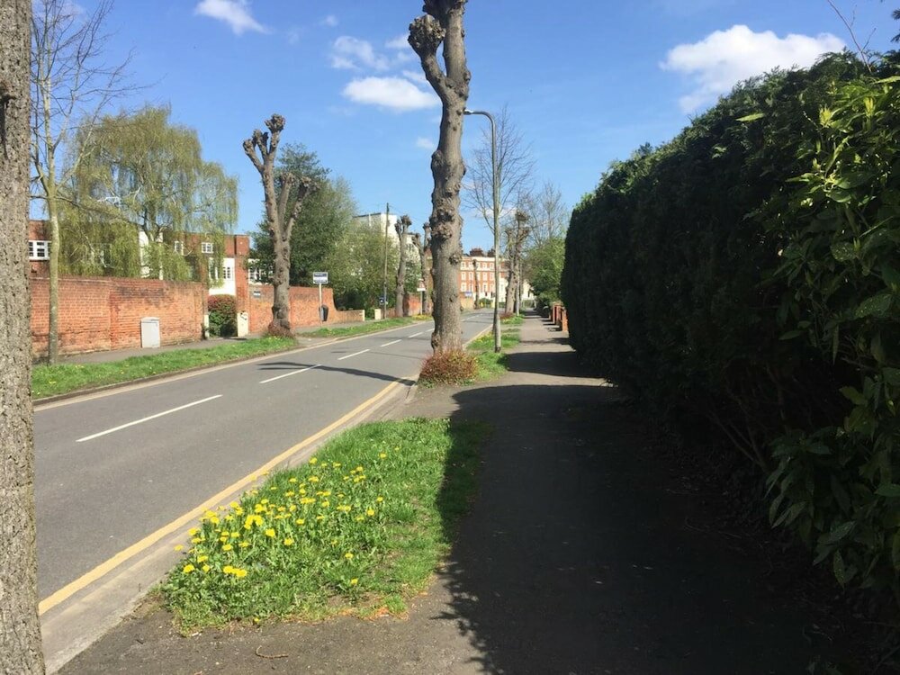 Фото Crescent Hotel