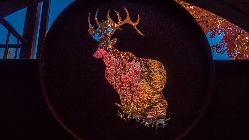 Фото The Lodge at Riverside