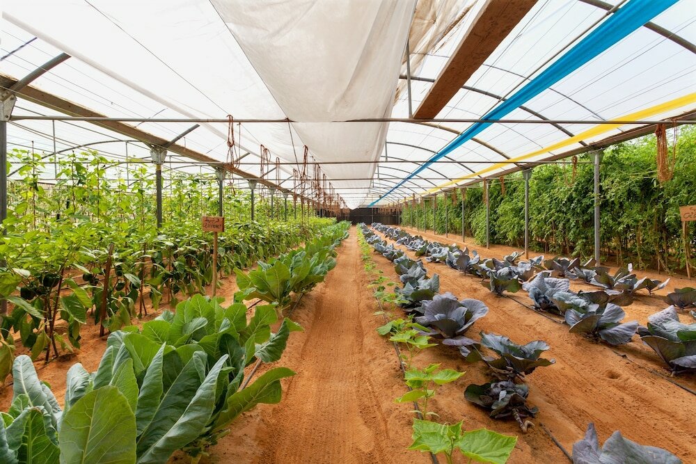 Фото Six Senses Zighy Bay