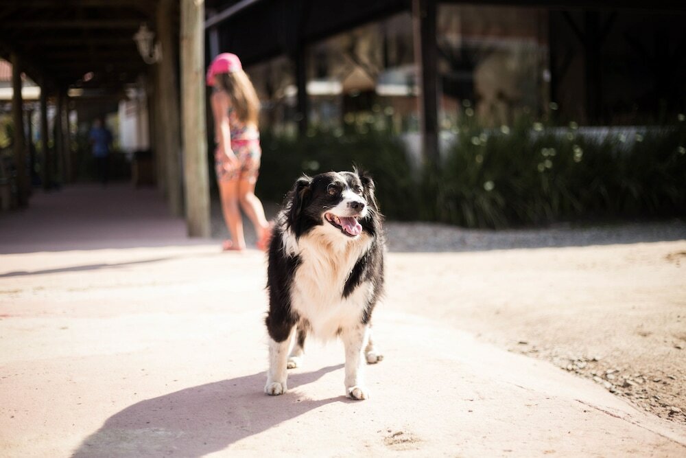 Фото Hotel Fazenda Dona Francisca