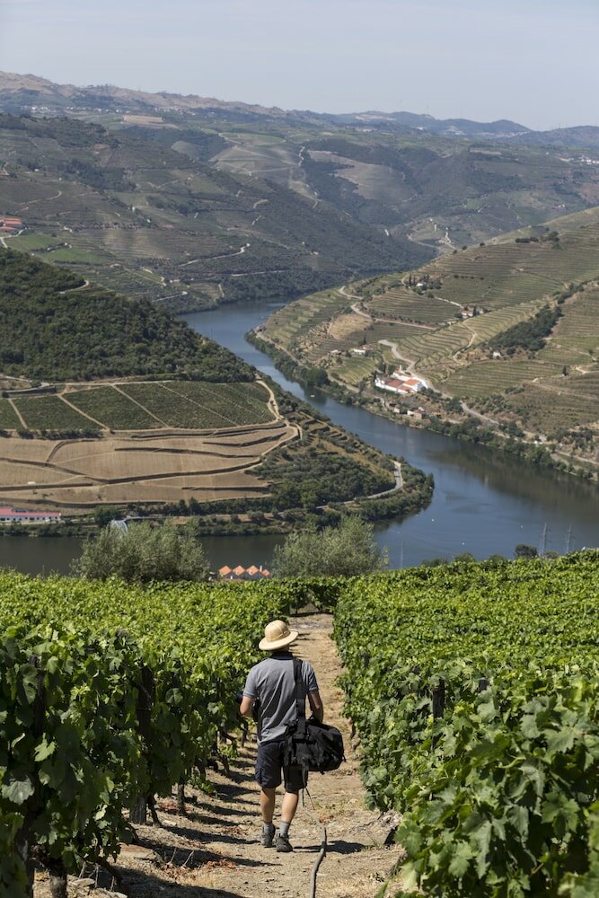 Фото Casa de Casal de Loivos