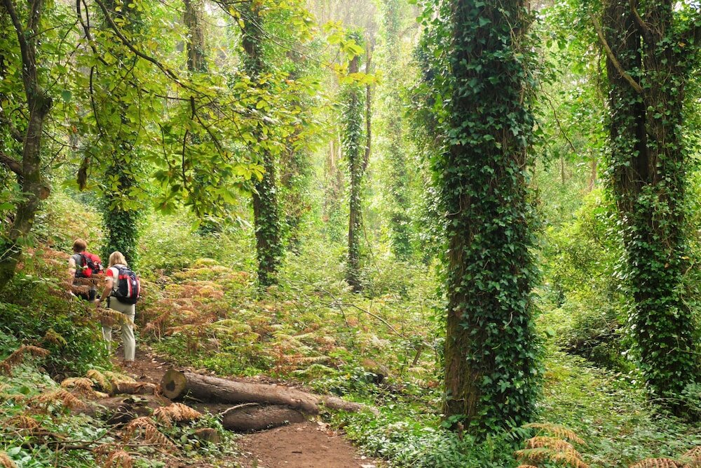 Фото Casa do Valle