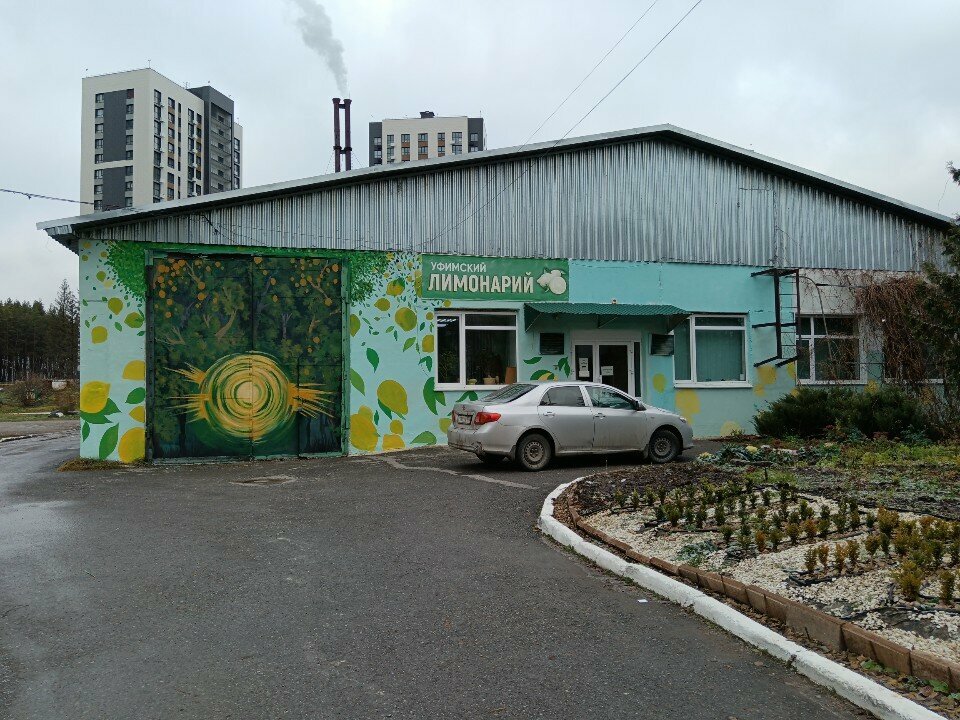 Forestry Gbpou Ufimsky lesotekhnichesky tekhnikum Uchebno-opytnoye khozyaystvo Limonary, Ufa, photo