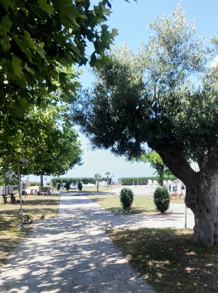 Фото Skion Palace Beach Hotel