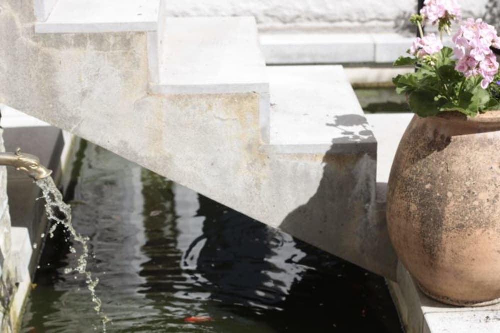 Фото Hotel Maitagaria