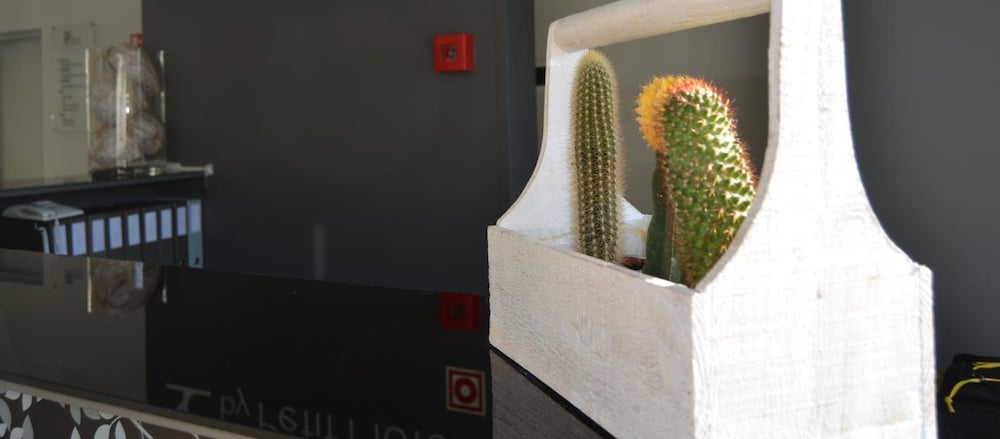 Фото Madeira Bright Star Hotel