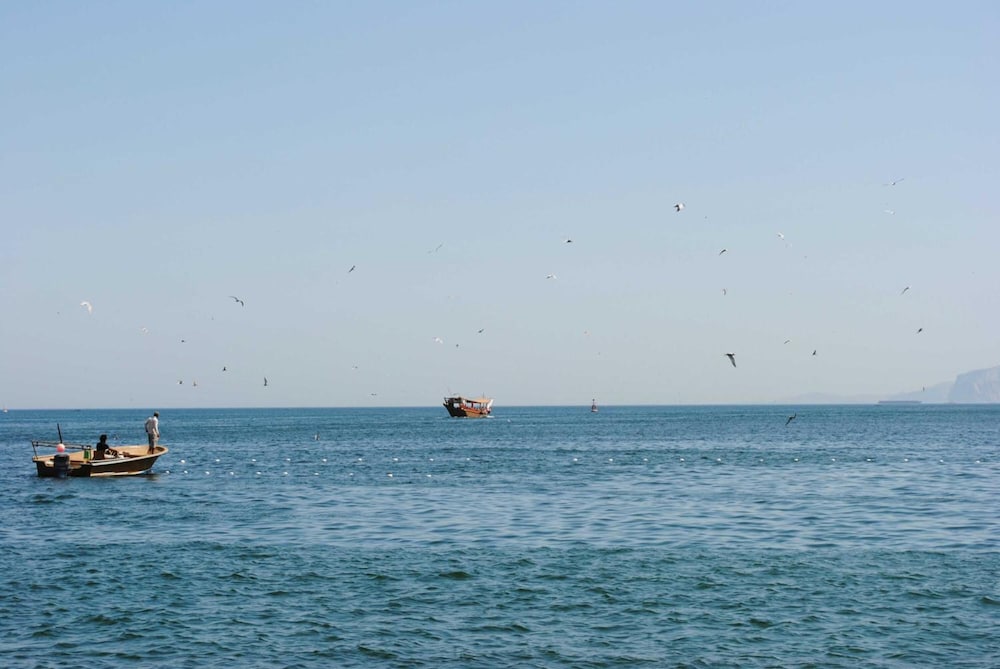 Фото Отель Атана Хасаб