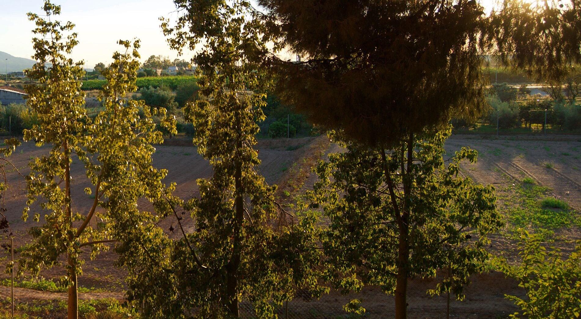 Фото Hotel de La Paz