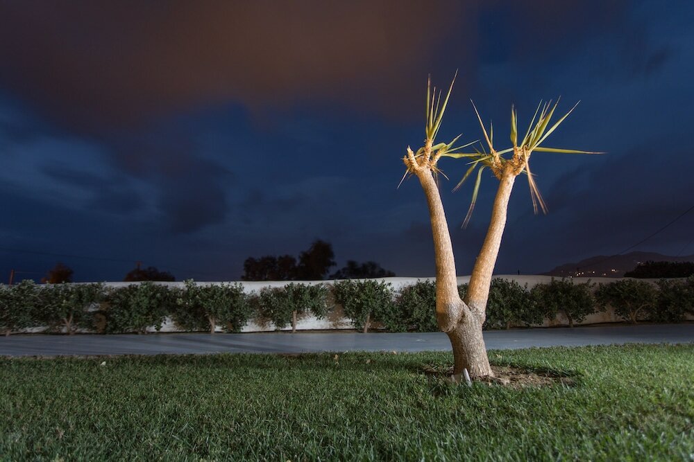 Фото Princess Of Naxos