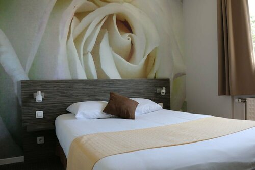 Гостиница Hotel Dauly Lyon в Броне