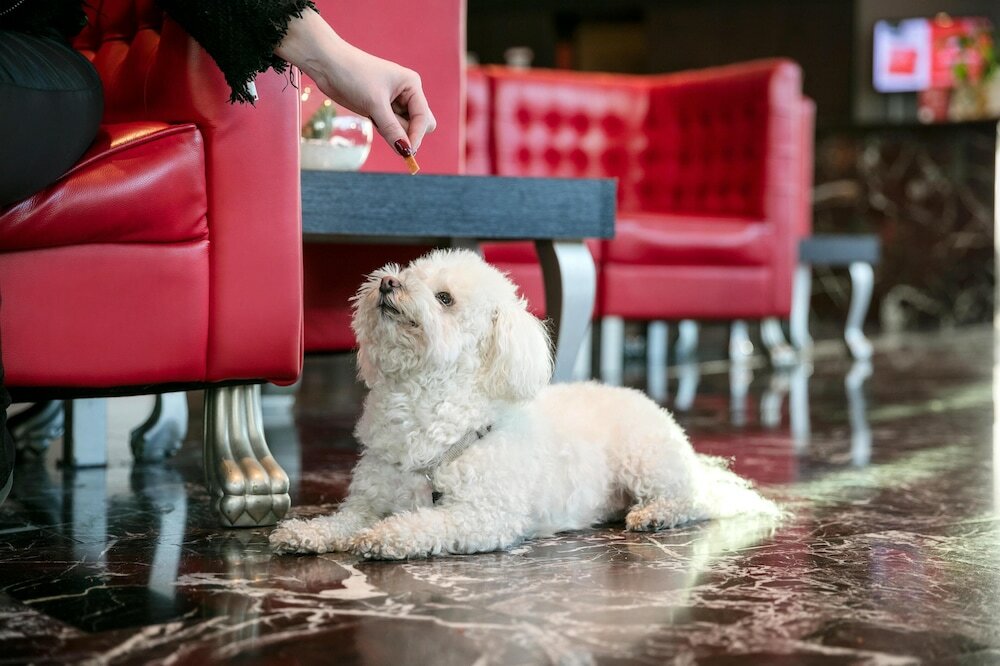 Фото Arcotel Kaiserwasser Vienna