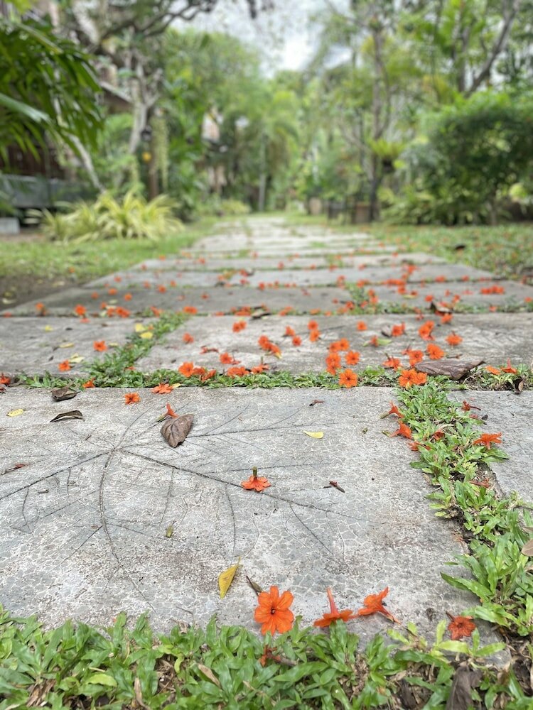 Фото Grand Manita Beach Resort